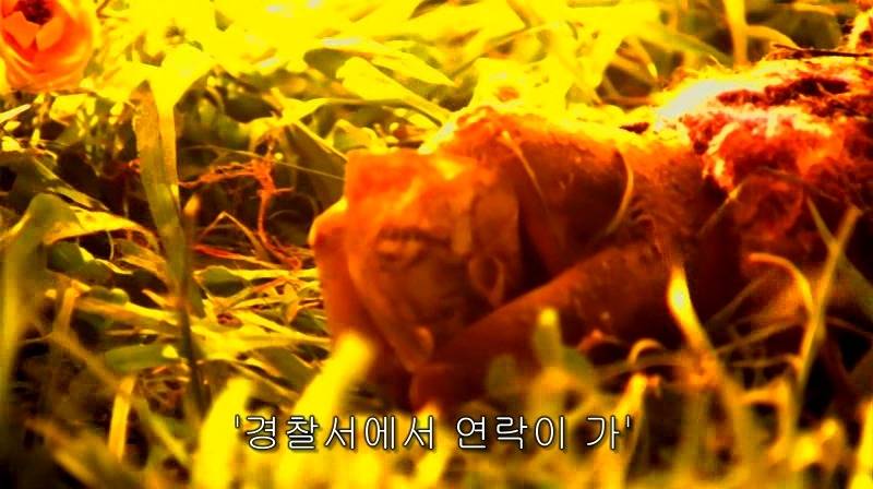 [영화] 혐오스런 마츠코의 일생 -16- | 인스티즈