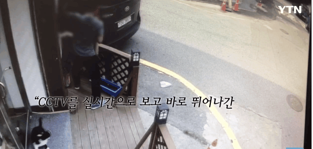 분노주의)웃는 얼굴로 새끼 고양이 내던지고 도망간 미친넘 | 인스티즈