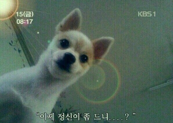 자네....정신이 조금 드는가? | 인스티즈