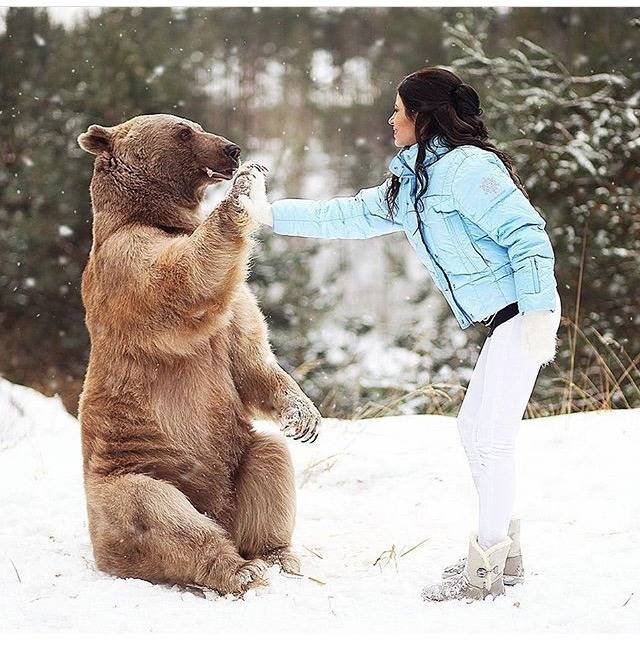 같이 사는 곰 | 인스티즈