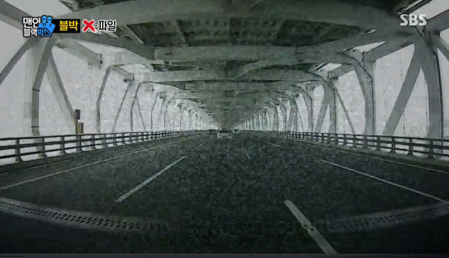 산지 직송.gif | 인스티즈