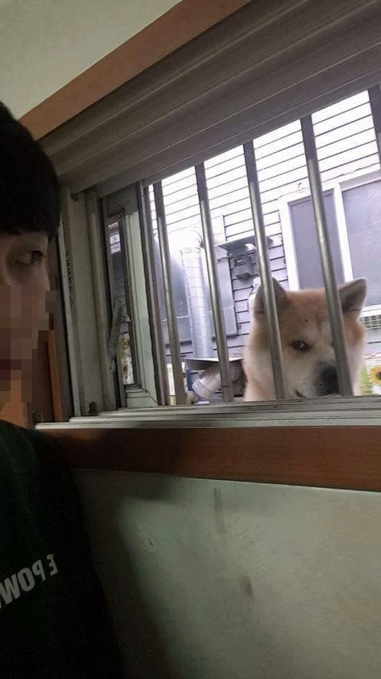 반지하에 살면 생기는 일 | 인스티즈