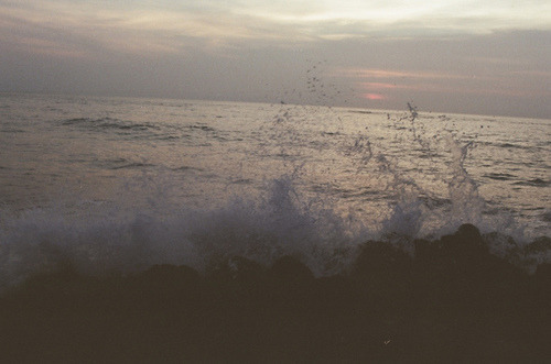 나는 인류가 아닌 단 한 여자를 위해 쓴 잔을 죄다 마시겠지 | 인스티즈