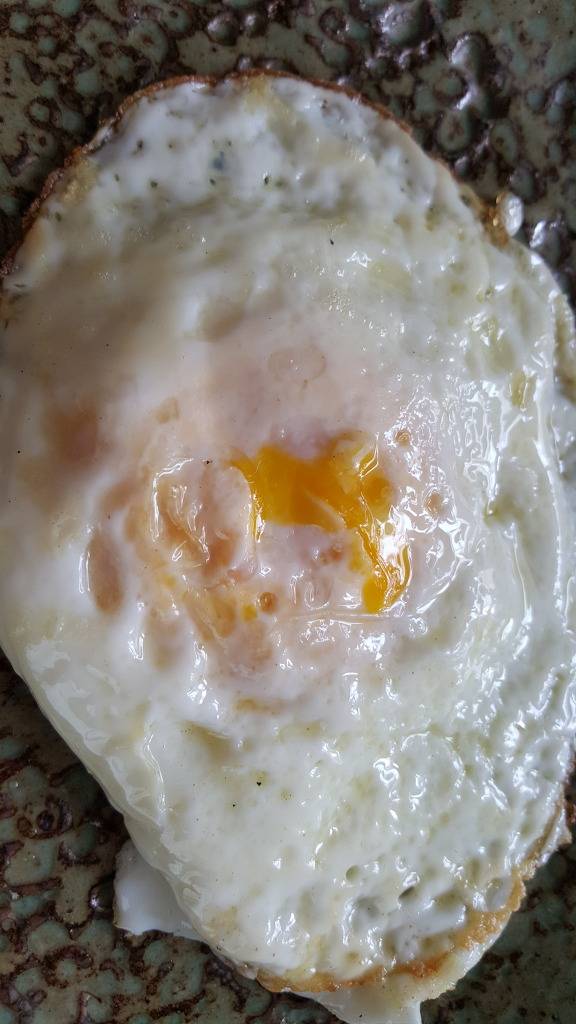 자취생의 현실적인 밥상 | 인스티즈