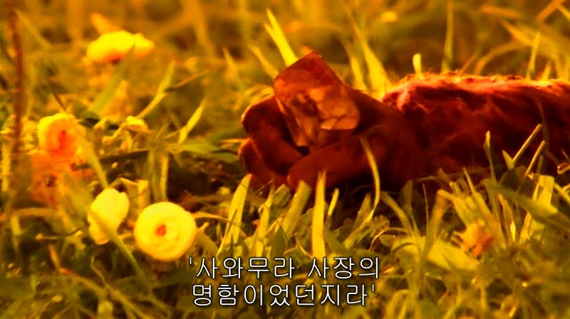 [영화] 혐오스런 마츠코의 일생 -16- | 인스티즈