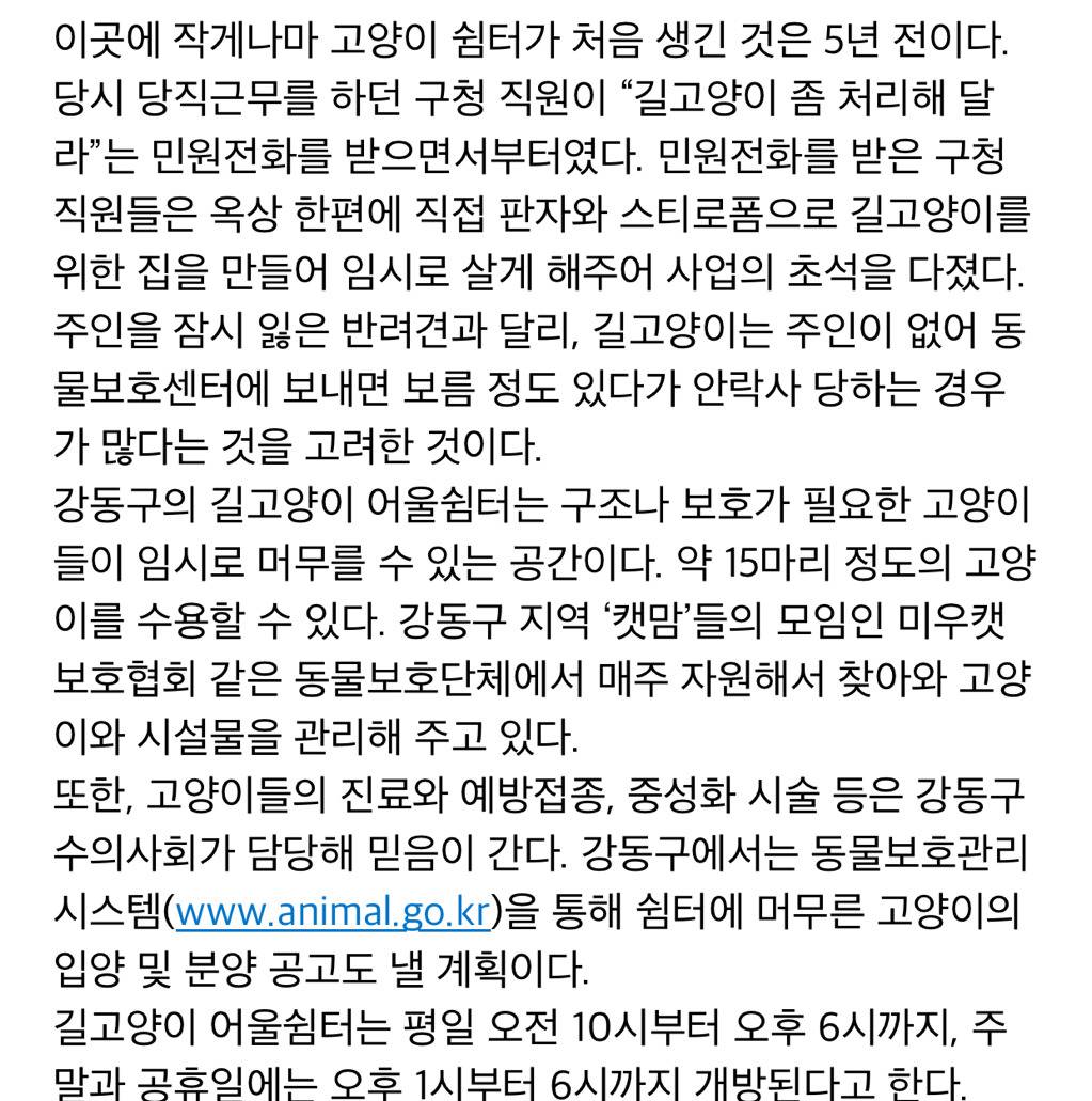 냥!! 한국 최초로(?) 고양이들을 위한 쉼터가 생겼다옹~ㅇㅅㅇ)/ .jpg | 인스티즈
