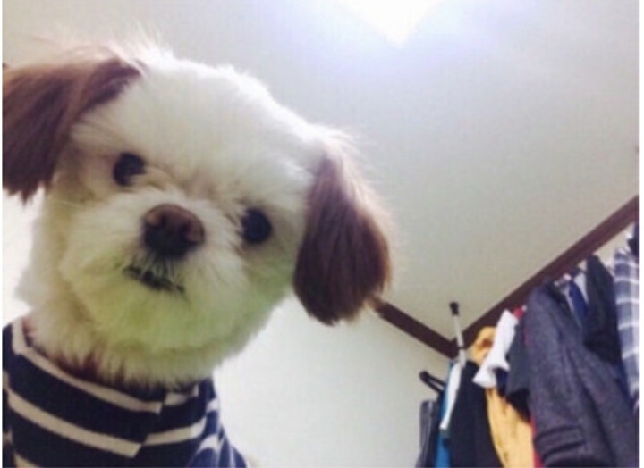 자네....정신이 조금 드는가? | 인스티즈