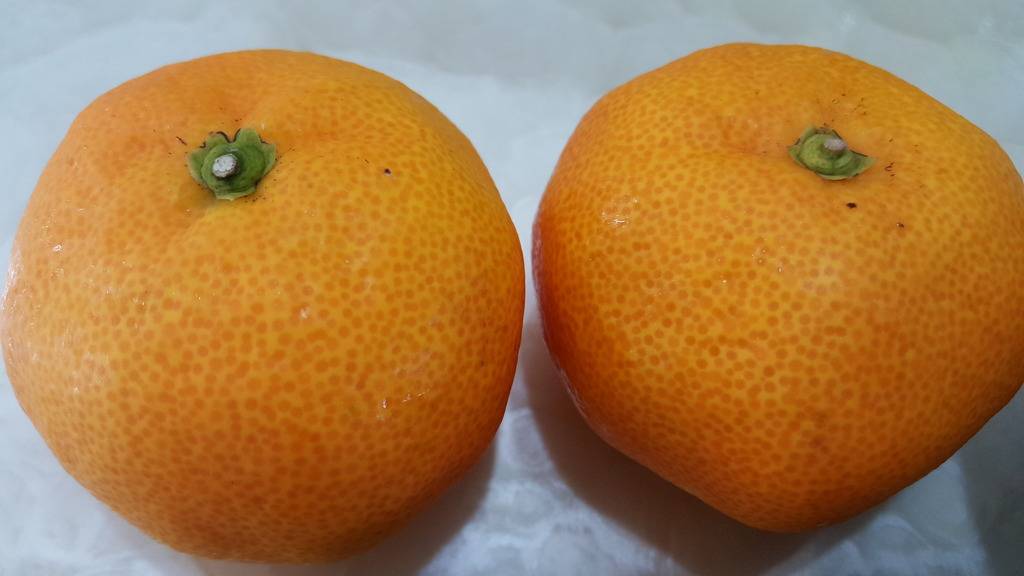 자취생의 현실적인 밥상 | 인스티즈