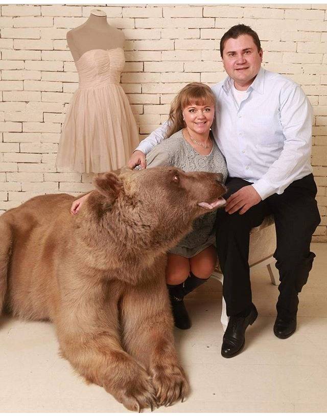 같이 사는 곰 | 인스티즈