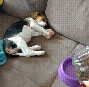 깨우는 방법 gif | 인스티즈