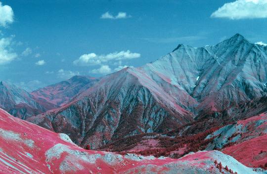  그다지 행복하지 않을 거야 | 인스티즈