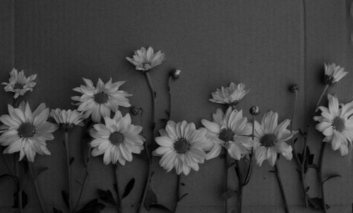  사랑을 시작하기 전에 걱정부터 드는 당신에게 | 인스티즈