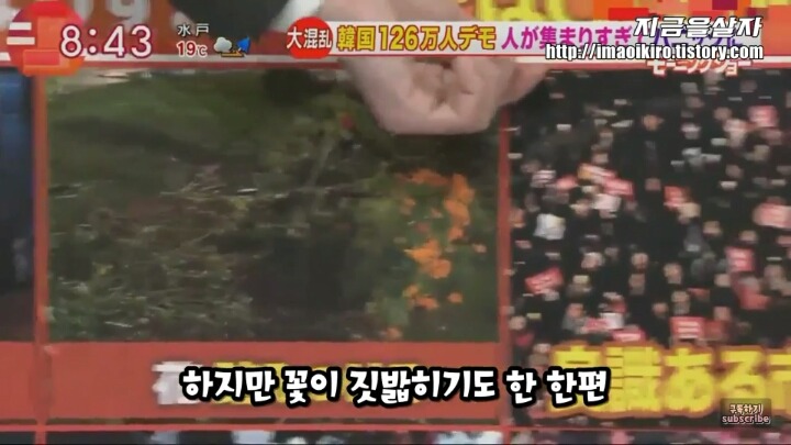 한국시위대에 대한 보도 중 일본의 무리수 | 인스티즈