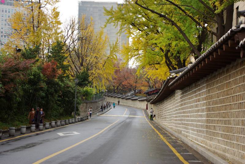 대한민국 최고의 드라이브코스들 총망라 | 인스티즈