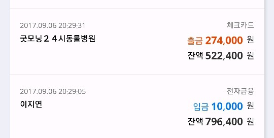 고양이 통장내역 피드백 | 인스티즈