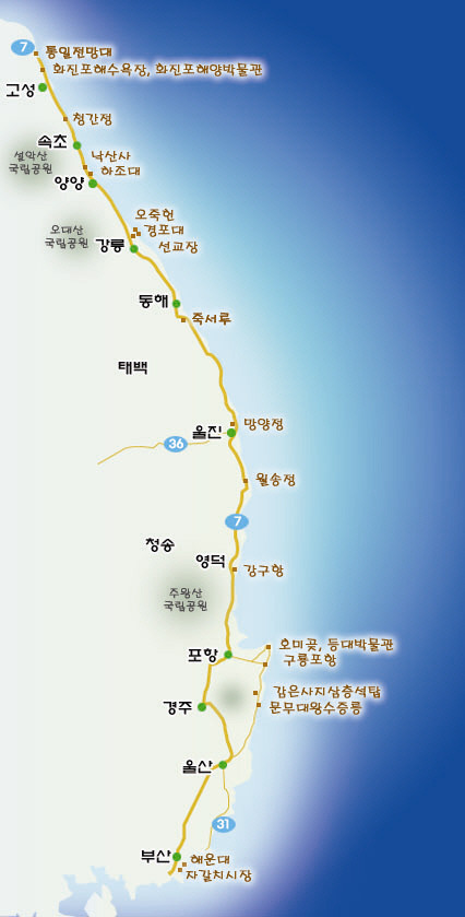 대한민국 최고의 드라이브코스들 총망라 | 인스티즈