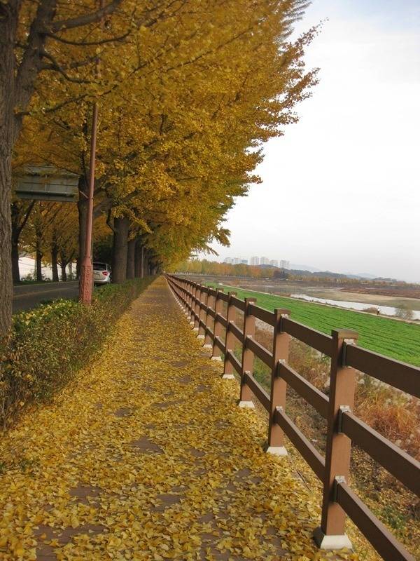 대한민국 최고의 드라이브코스들 총망라 | 인스티즈