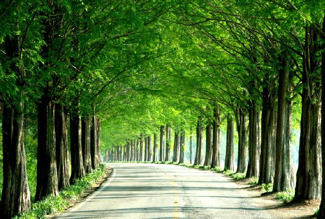 대한민국 최고의 드라이브코스들 총망라 | 인스티즈