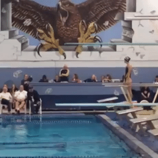 놀라운 다이빙 자세.gif | 인스티즈