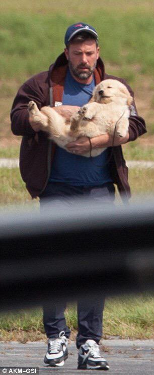 덩치 큰 개들도 자기가 애기인줄 앎.jpg (feat. 대형견의 짱덕포인트) | 인스티즈