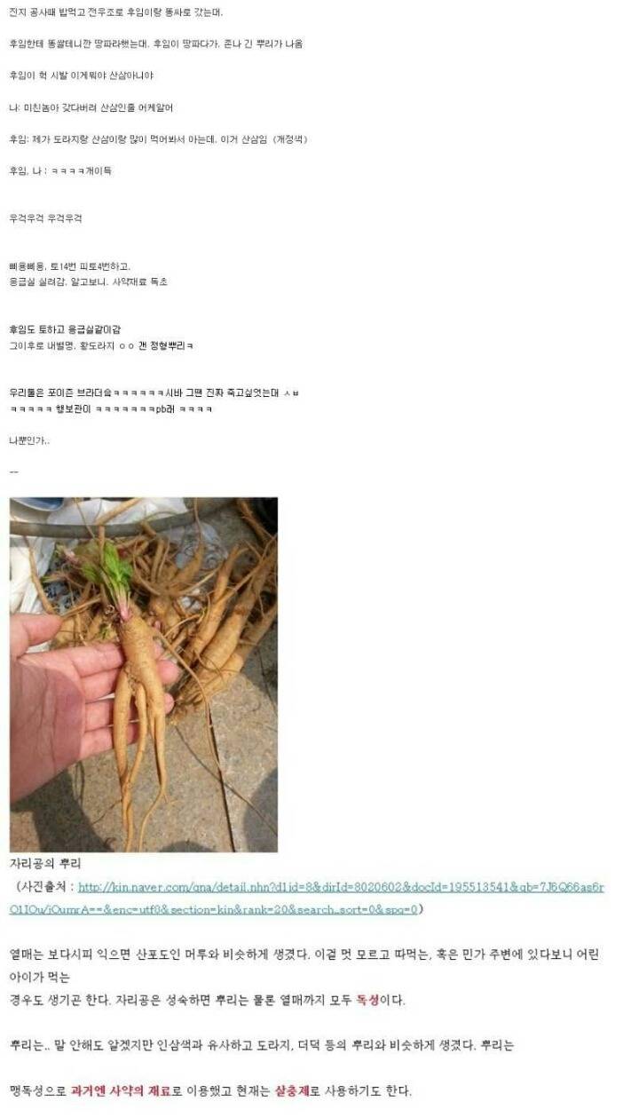 군대에서 산삼먹은 썰.. | 인스티즈