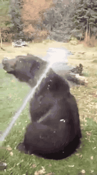 귀여운 동물들 | 인스티즈