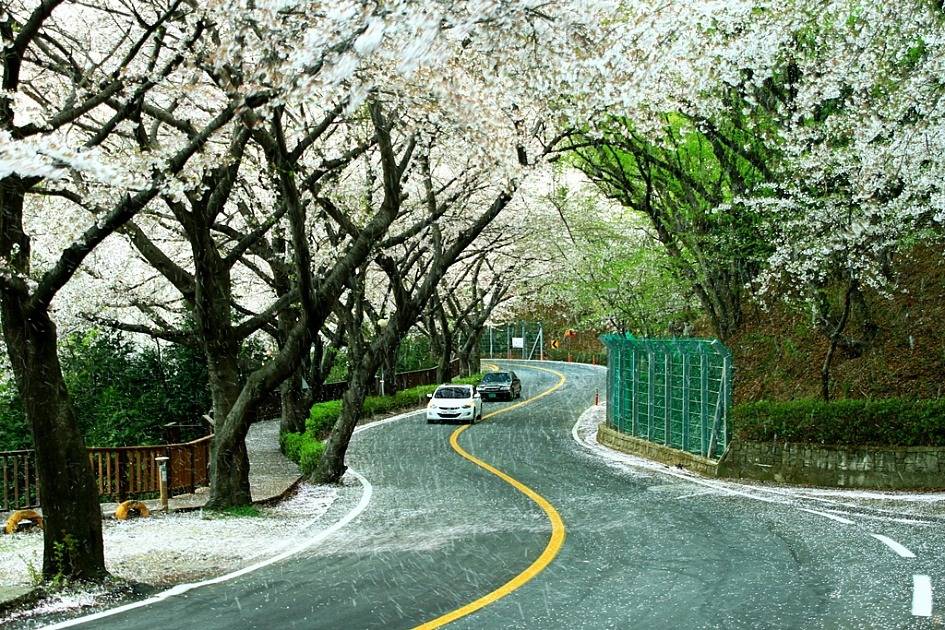 대한민국 최고의 드라이브 코스들 | 인스티즈