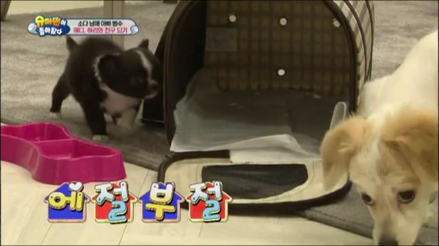 이범수가 동물을 대하는 방식.jpg | 인스티즈