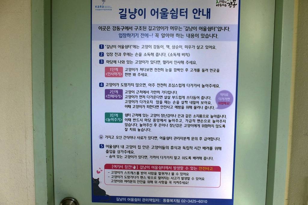 냥!! 한국 최초로(?) 고양이들을 위한 쉼터가 생겼다옹~ㅇㅅㅇ)/ .jpg | 인스티즈