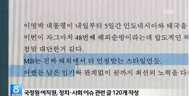 국정원 직원들이 쓴 댓글.jpg | 인스티즈