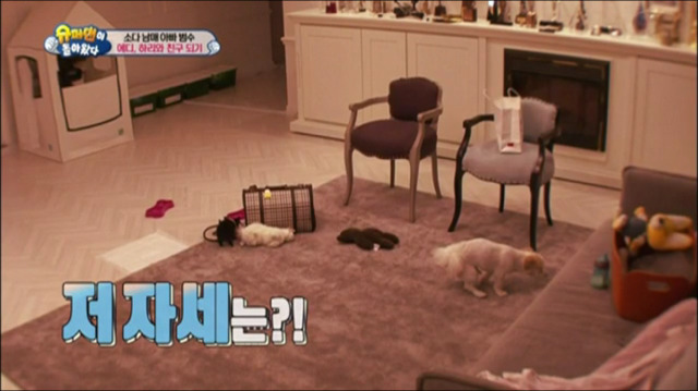 이범수가 동물을 대하는 방식.jpg | 인스티즈