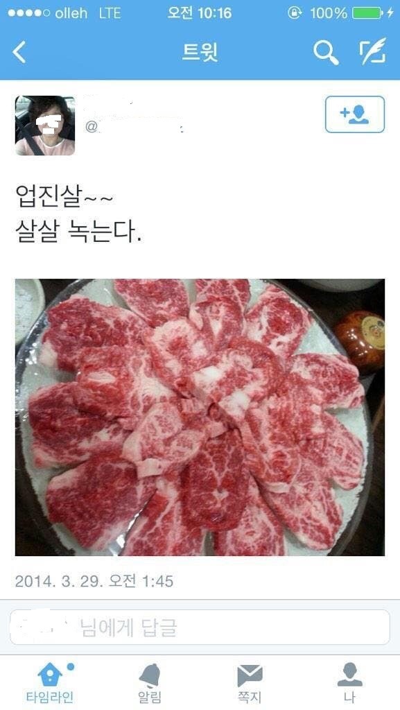 동물애호가 레전드.jpg | 인스티즈