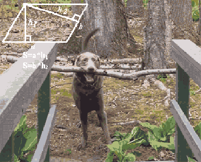 꽤 똑똑합니다~ | 인스티즈