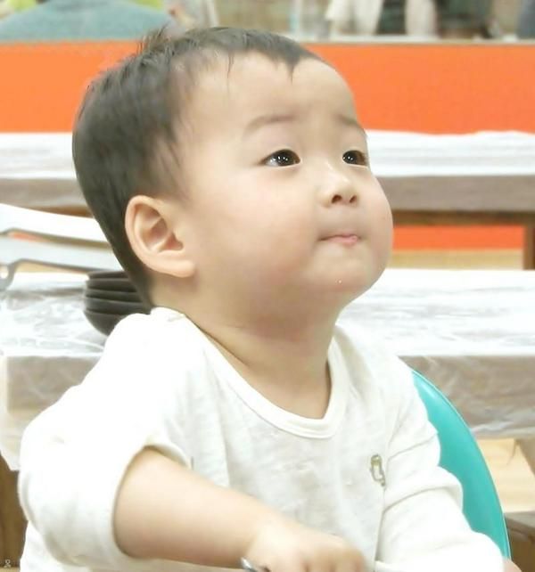 걸어다니는 애교주머니 민국이 모음 (데이터주의!) | 인스티즈