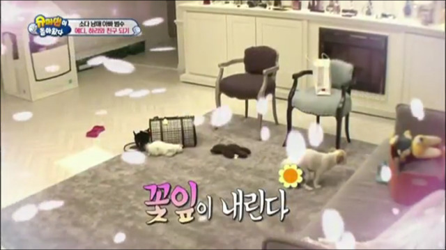 이범수가 동물을 대하는 방식.jpg | 인스티즈