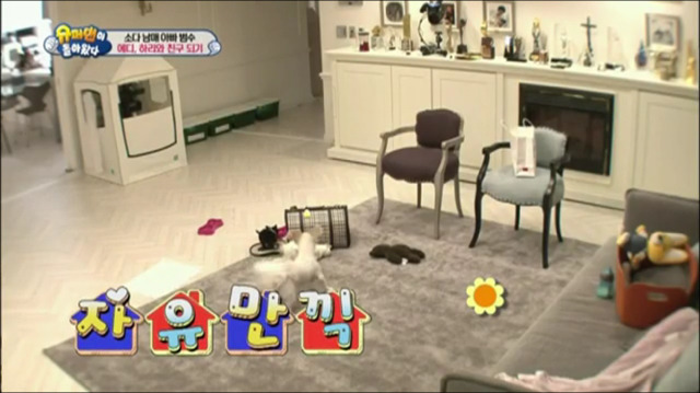 이범수가 동물을 대하는 방식.jpg | 인스티즈