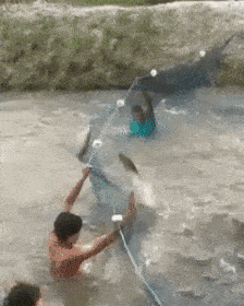 물반 고기반 | 인스티즈