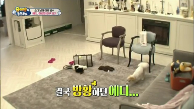 이범수가 동물을 대하는 방식.jpg | 인스티즈