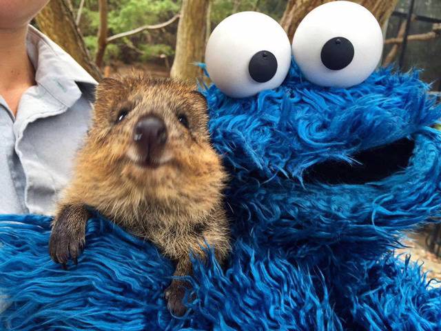 호주 관광청 홍보대사.jpg | 인스티즈