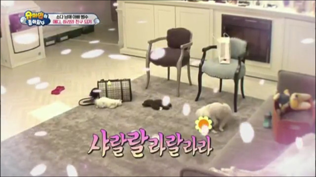 이범수가 동물을 대하는 방식.jpg | 인스티즈