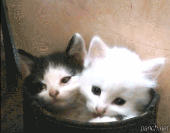 당신을 죽이러왔다 | 인스티즈