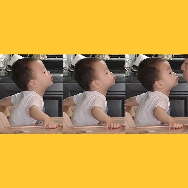 걸어다니는 애교주머니 민국이 모음 (데이터주의!) | 인스티즈