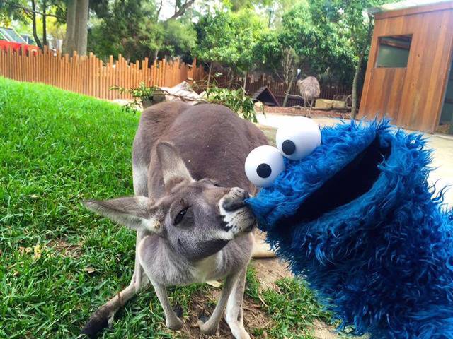 호주 관광청 홍보대사.jpg | 인스티즈