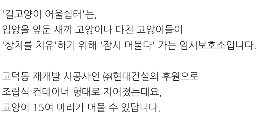 냥!! 한국 최초로(?) 고양이들을 위한 쉼터가 생겼다옹~ㅇㅅㅇ)/ .jpg | 인스티즈