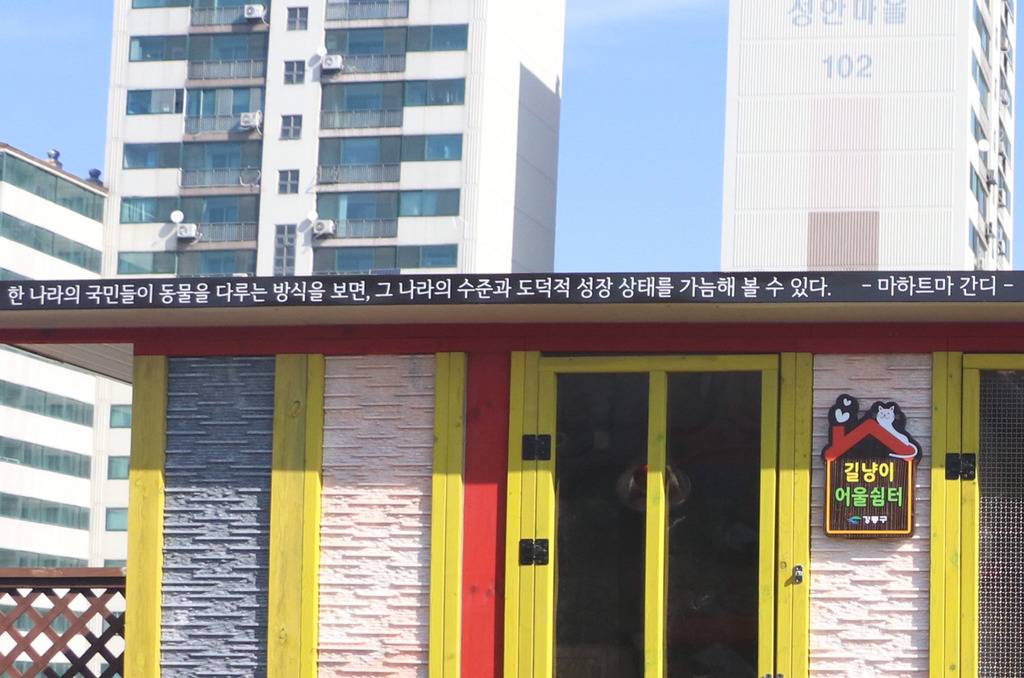 냥!! 한국 최초로(?) 고양이들을 위한 쉼터가 생겼다옹~ㅇㅅㅇ)/ .jpg | 인스티즈