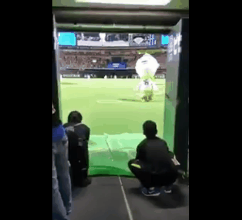 얼굴 큰 일본야구 마스코트가 퇴장하는 방법.gif | 인스티즈