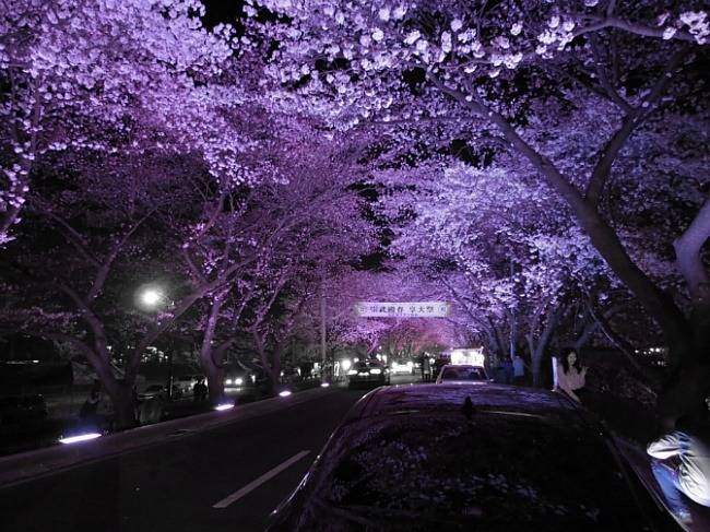 대한민국 최고의 드라이브 코스들 | 인스티즈