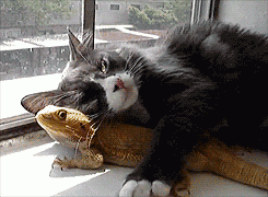 우리는 칭구칭구 | 인스티즈