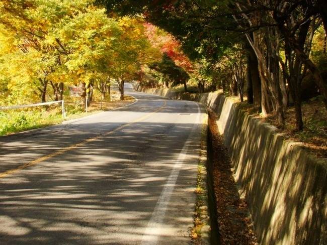 대한민국 최고의 드라이브 코스들 | 인스티즈