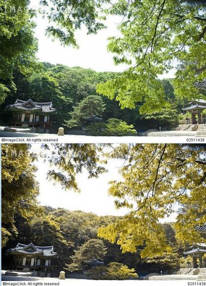 적녹색약이 보는 세상 | 인스티즈